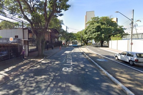 Prefeitura interdita rua no centro para retirada de árvore